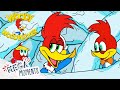 Woody conducts a Science Experiment 🧪 | Woody Woodpecker | Compilation | Mega Moments