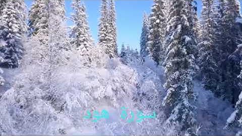 سورة هود surat  Hood صوت جميل بصوت صلاح بوخاطر