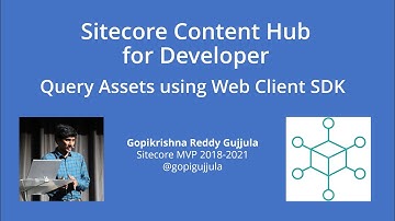 Sitecore Content Hub - Query Assets using Web Client SDK