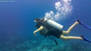 Diving World-Best Dive Cozumel-Instagram--Whatsapp 52-987-8-00-51-41