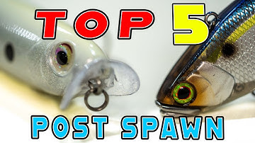 Top 5 Baits For Post Spawn Bass Fishing! (Early Summer Transition)