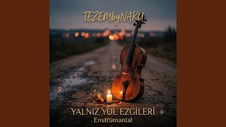 Kaybedilmiş Yıllara - TEZEM