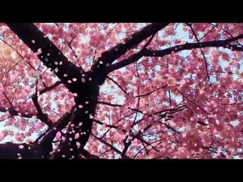 Inuyasha's Lullaby Full
