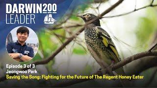 Saving the Song of the Regent Honeyeater - Jeongwoo Park - Episode 3 (of 3)