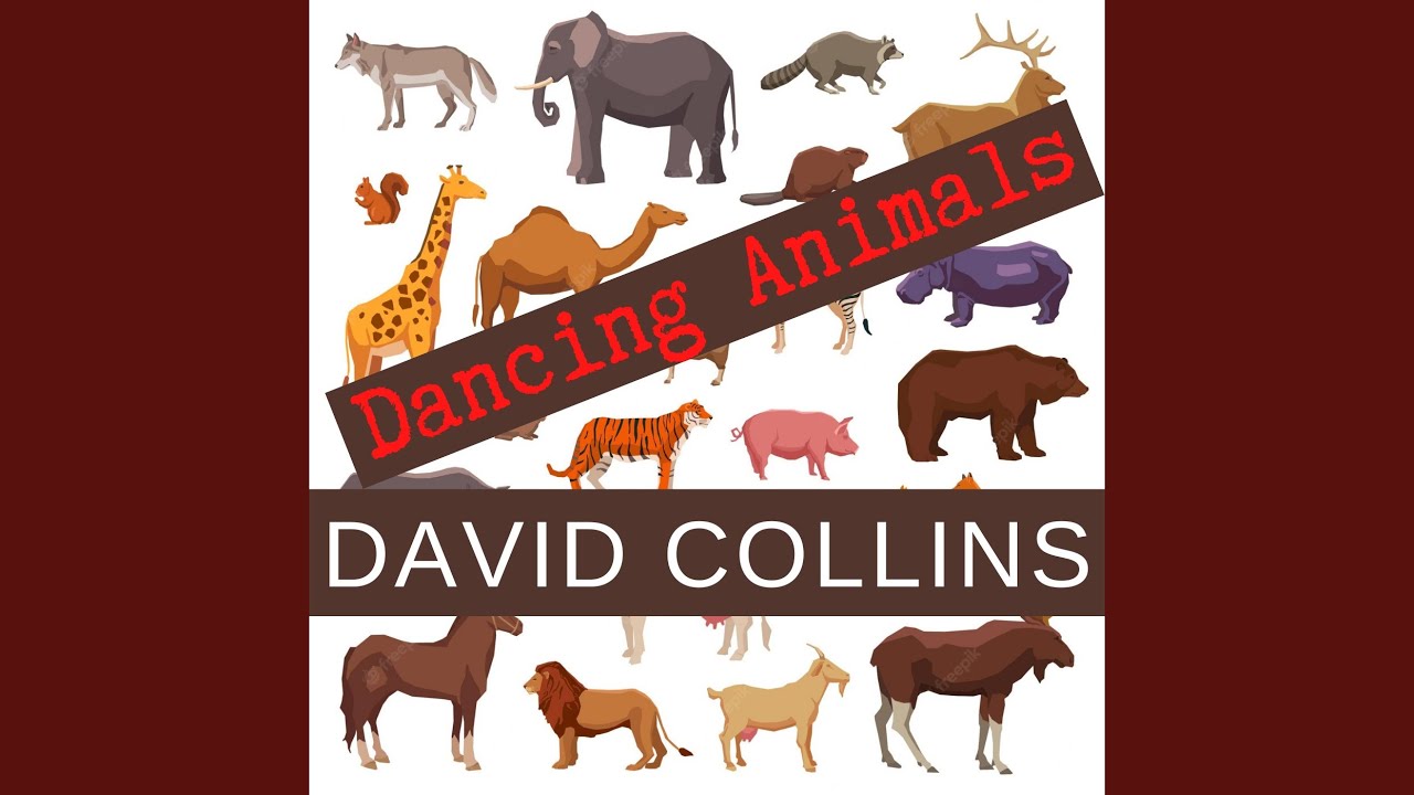Watch Dancing Dolphin on YouTube Watch Dancing Dolphin on YouTube