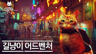 고양이가 세상을 구한다!😾 실제 집사가 만든 갓게임 [스트레이] screenshot 5
