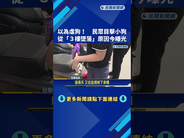 虐待? 小狗自3樓墜落 監視器畫面解謎"雷聲嚇到"－民視新聞