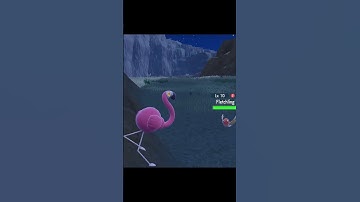 WE FOUND A SHINY ALREADY?!