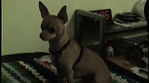 RCA Camcorder-Digital Test