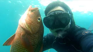 Spearfishing RED SNAPPER||ILAK atbp....😱🎯😇