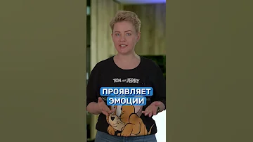 Моторная Алалия! Что делать? Кто поможет?
