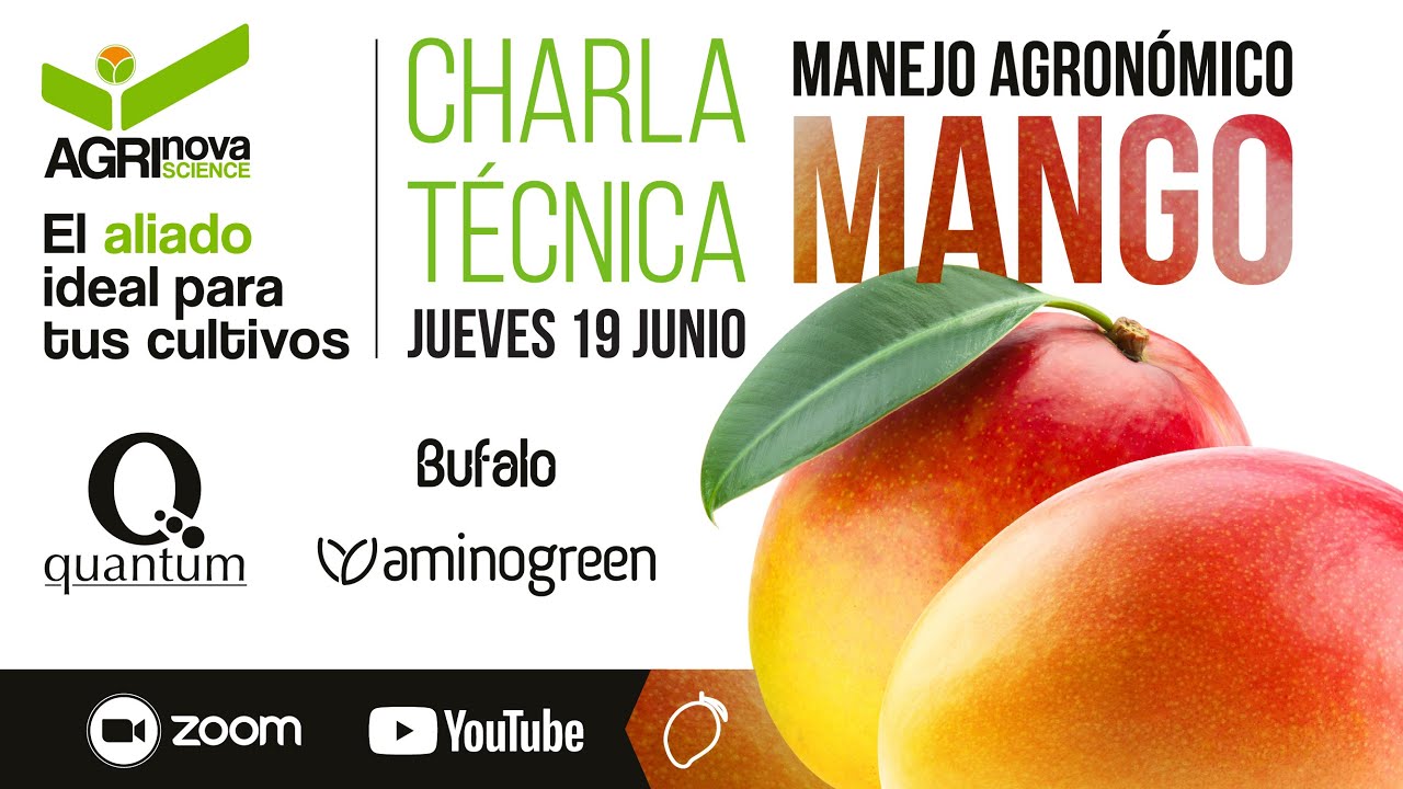 Bioestimulación y fertilización exitosa en el cultivo de mango