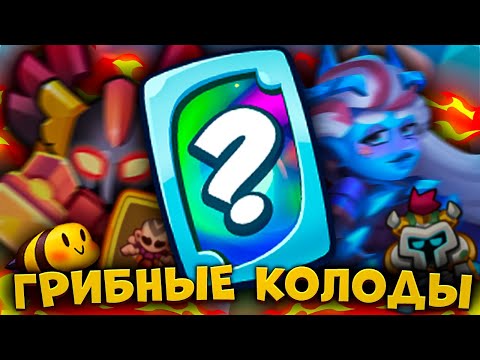 Видео: RUSH ROYALE | ЛУЧШИЕ КОЛОДЫ ПРОТИВНИКОВ | ГРИБНЫЕ ТАКТИКИ В ДЕЛЕ?!