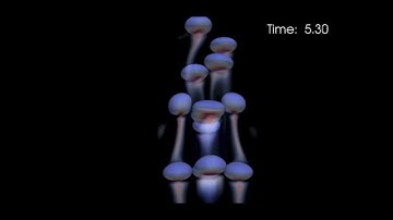 Multiscale Mass Transfer in Bubbly Flow