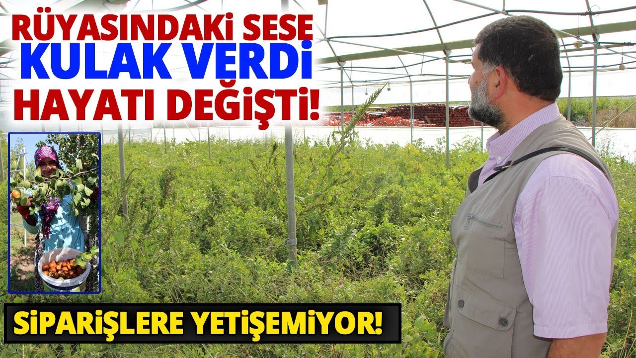 Rüyasında Gördü, 6 Yılda Diktiği 13 Bin Fide İle Siparişlere Yetişemiyor