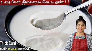 இந்த 2 tips போதும் வீட்ல எப்போதும் கெட்டி தயிர் செய்யலாம்👌 | How to make thick curd | Thick Curd