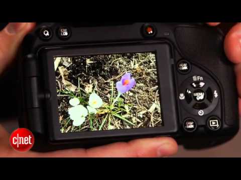 Fujifilm FinePix HS50EXR review: What a bridge camera should be