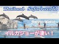 SAFARI WORLD Bangkok Thailand Dolphin Show サファリワールド・バンコク・タイ・イルカショー【タイ旅行.タイ観光】