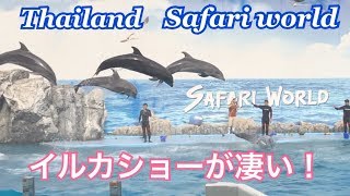 SAFARI WORLD Bangkok Thailand Dolphin Show サファリワールド・バンコク・タイ・イルカショー【タイ旅行.タイ観光】