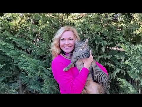 Apacuka zenekar - Cicavilág