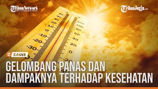 Apa Itu Gelombang Panas dan Dampaknya terhadap Kesehatan
