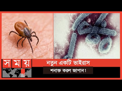 ভিডিও: কী কী ভাইরাস থেকে কীটকে আলাদা করে?