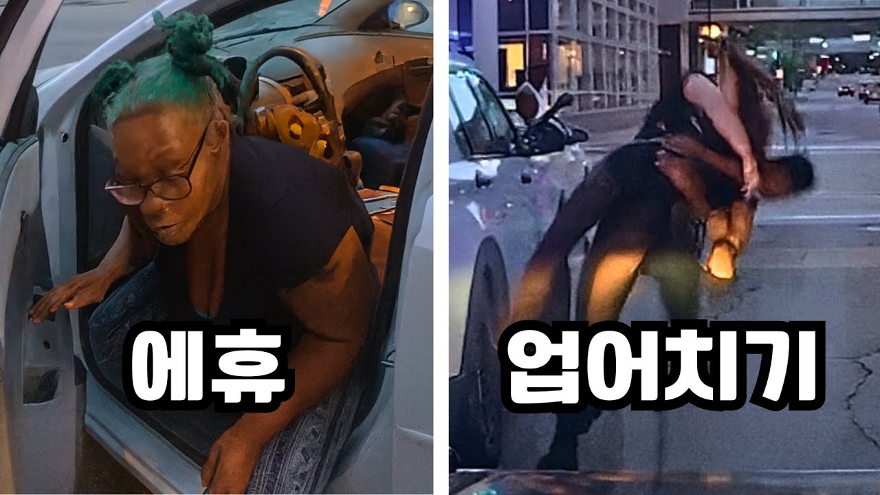 본인이 잘못해놓고 비아냥거리던 운전자, 참지 않는 미국 경찰관