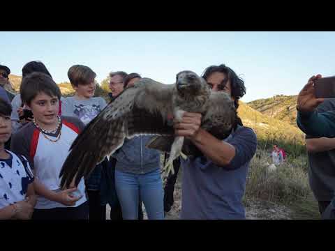 VIDEO PNM EL PANTANO