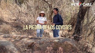 Piedra de los Coyotes - Recorrido por el Sitio Arqueológico de La Malinche