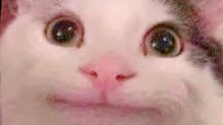 discord mod speedrun (9.17 seconds) Profile