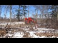 Aldo leopold foundation forestry mower in action
