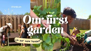 We Built Our First Family Garden… Will Anything Actually Grow? 🌱