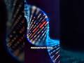 The Productivity Hack Most People Ignore #Neuroscience #productivity