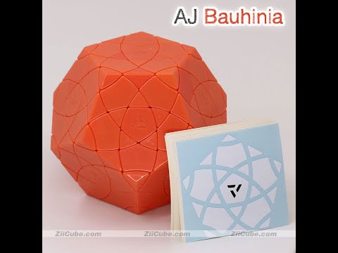 Video BAUHINIA V2 TUTORIAL. - youtube