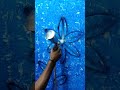 Flower 🌹 Wall Spray paint | Wall Texture Design | #shorts #youtubeshorts #art