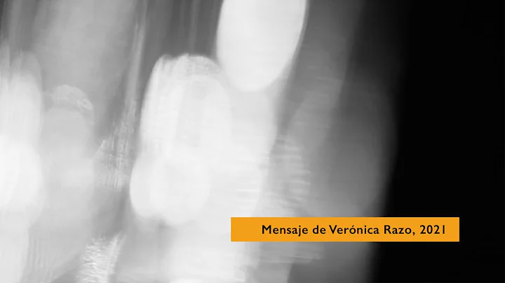 Mensaje de libertad de Vernica Razo, 2021