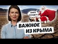 Крым: воды нет, дороги обваливаются | Важное из Крыма