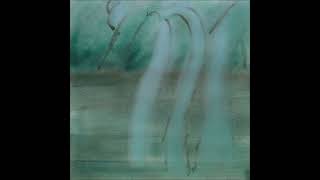 THEODORE CALE SCHAFER - Patience [2019 / Full Album]