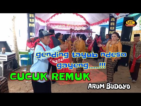CUCUK REMUK