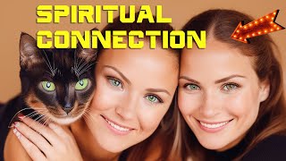 The Spiritual Connection Between Cats and Humans - A Divine Bond by Animals A2Z 24 views 12 days ago 1 minute, 1 second