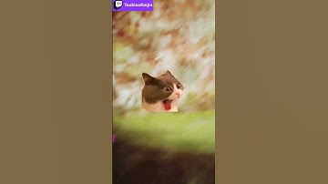 Zurk Glitch Discovered | Stray #stray #straygame #glitch #gameplay #letsplay #playthrough #twitch