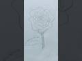 Rose 🌹#drawing #youtubeshorts #shorts
