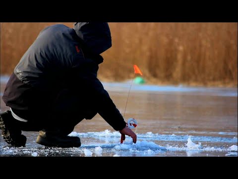 Видео: ЗАЧЁТНАЯ ТАРАНЬ  Зимняя Рыбалка в Палатке БАТОНЫ АТАКУЮТ ЩУКА ОКУНЬ КАРАСЬ