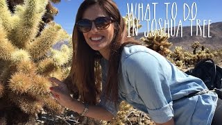 No rights to use this parts or all of video without expressed written
permission: thetravelmuse@yahoo.com joshua tree is kind a southern
california l...