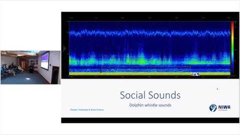 Building a Convolution Neural Network to Classify Underwater Sounds (NeSI/ NIWA)
