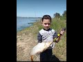 PESCA en CHASCOMUS y el RIO salado