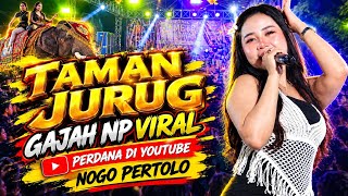 Download lagu TAMAN JURUG - GAJAH VIRAL NP - enak buat cek sound