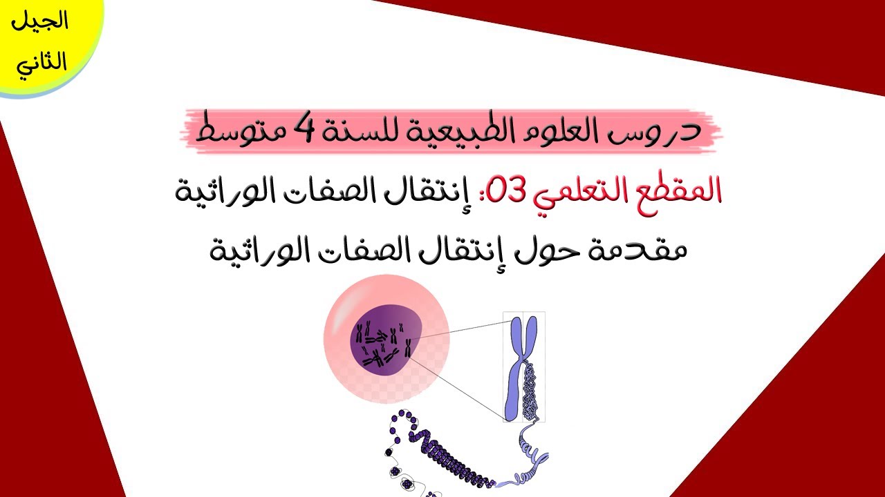 مقدمة حول إنتقال الصفات الوراثية | رابعة متوسط