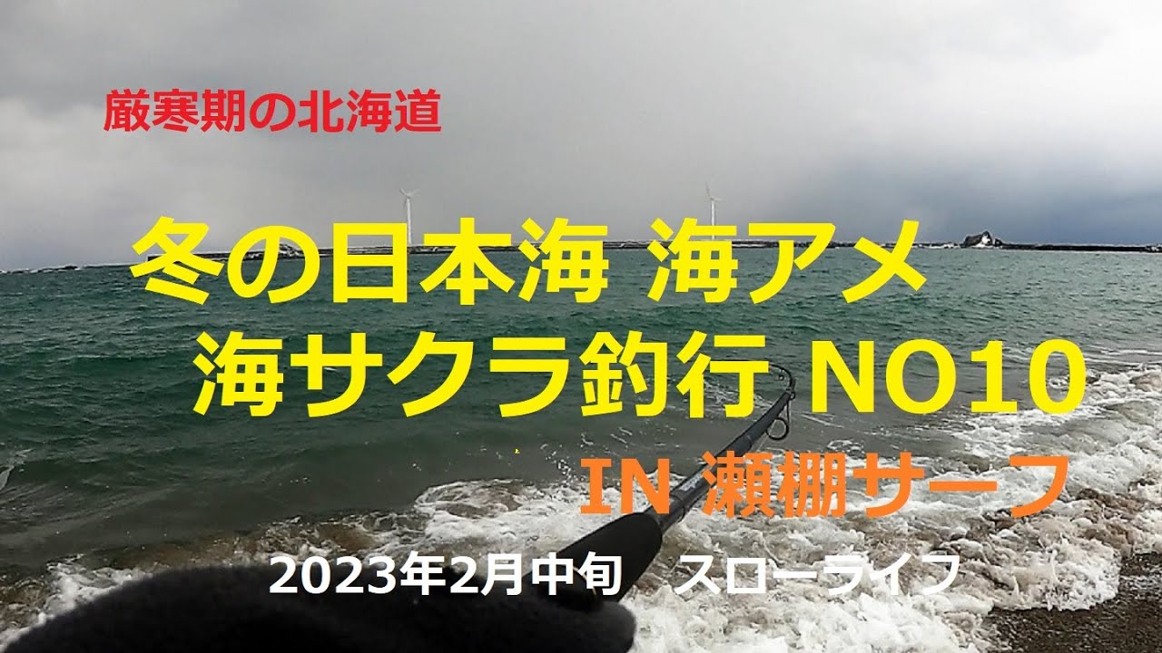 2023年2月中旬 冬の日本海海アメ・海サクラ釣行NO10～瀬棚サーフ
