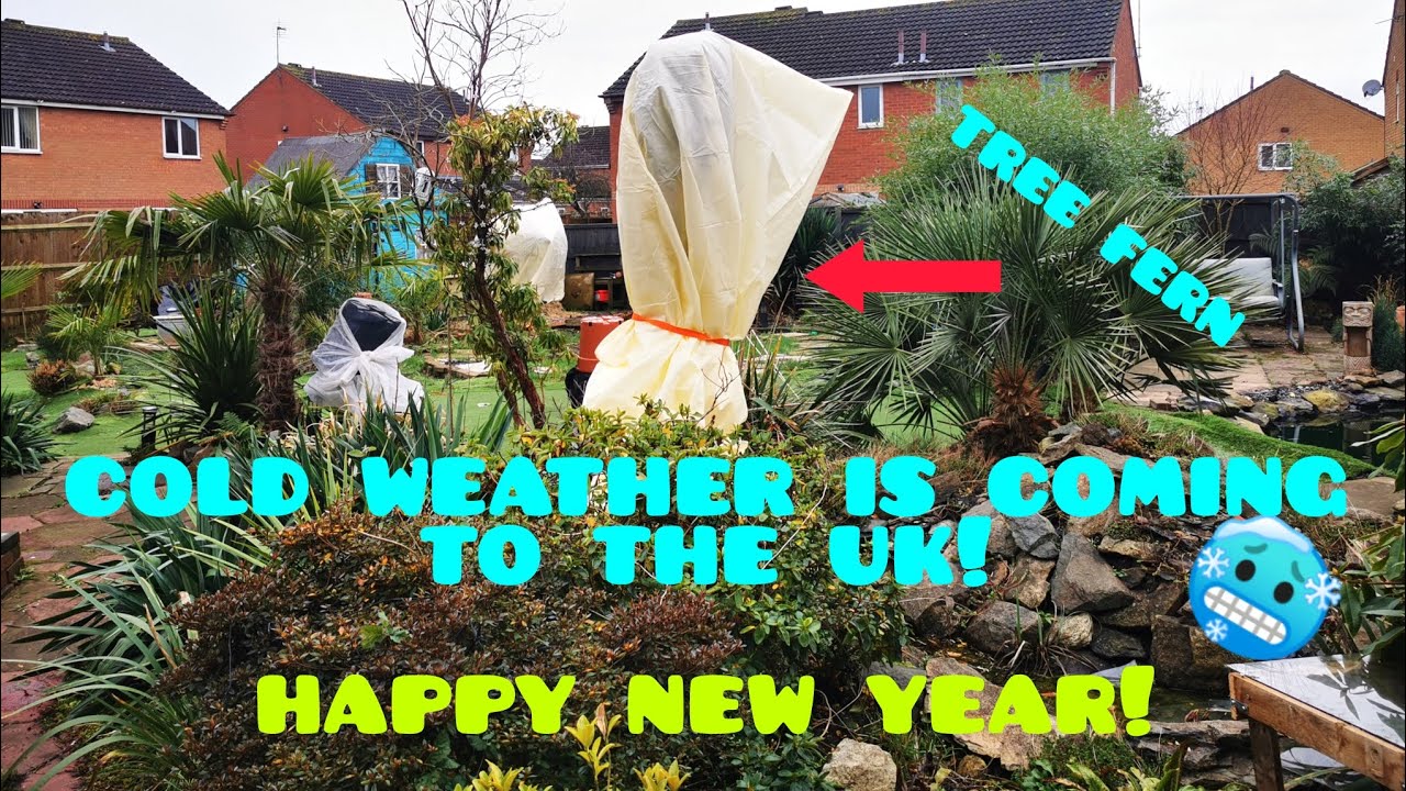 COLD, FROST, And SNOW Is Coming To the UK ! 🥶 more plants protected before the freeze !